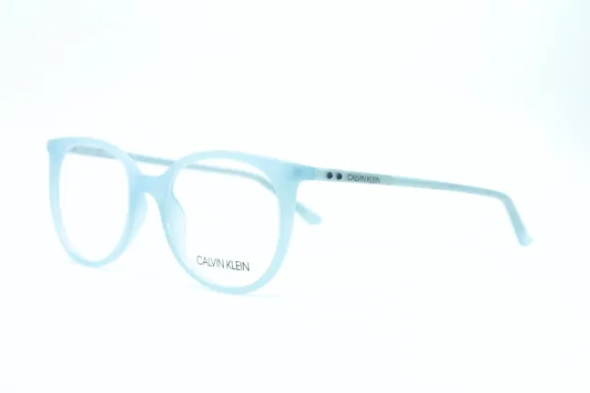 Eyeglasses CALVIN KLEIN CK19508 450