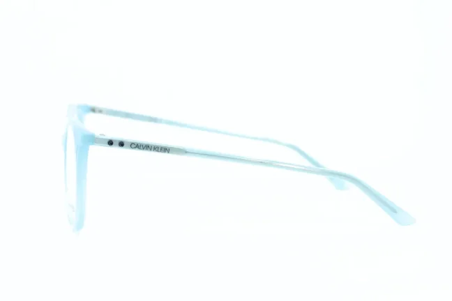 Eyeglasses CALVIN KLEIN CK19508 450