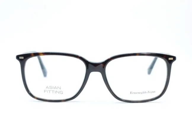 Dioptrické brýle ZEGNA EZ5020-F 052