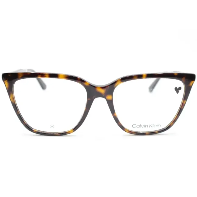 Eyeglasses CALVIN KLEIN CK20505 007