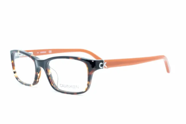 Eyeglasses CALVIN KLEIN CK5691 503