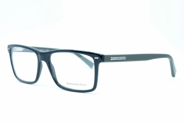 Eyeglasses ZEGNA EZ5002 020