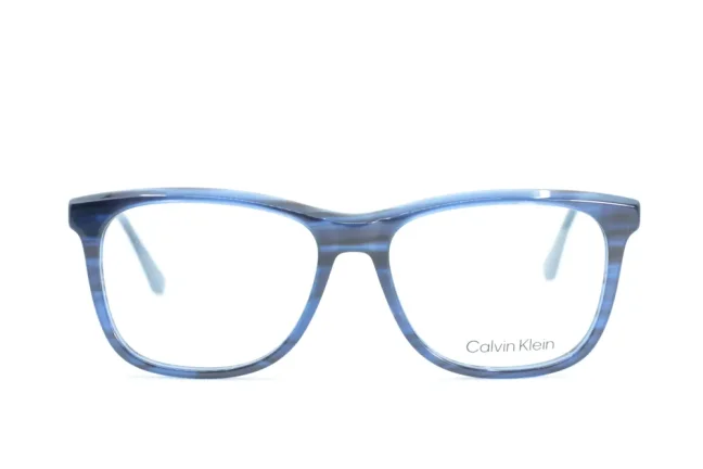 Men's eye glasses CALVIN KLEIN CK22507 420