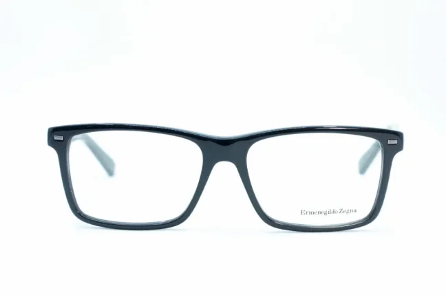 Eyeglasses ZEGNA EZ5002 020