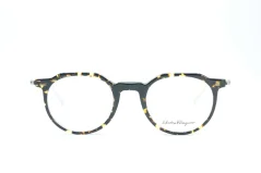 Eyeglasses SALVATORE FERRAGAMO SF2845 219